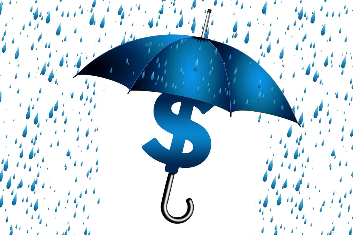 umbrella, business, secure, idea, rain, dollar, concept, money, finance, protection, wealth, bank, investments, security, financial, currency, cash, success, sy