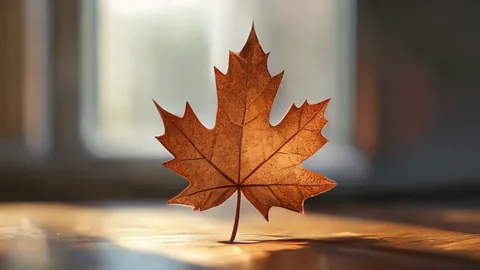 Canada Immigration Shift Targets Skilled Labor Needs