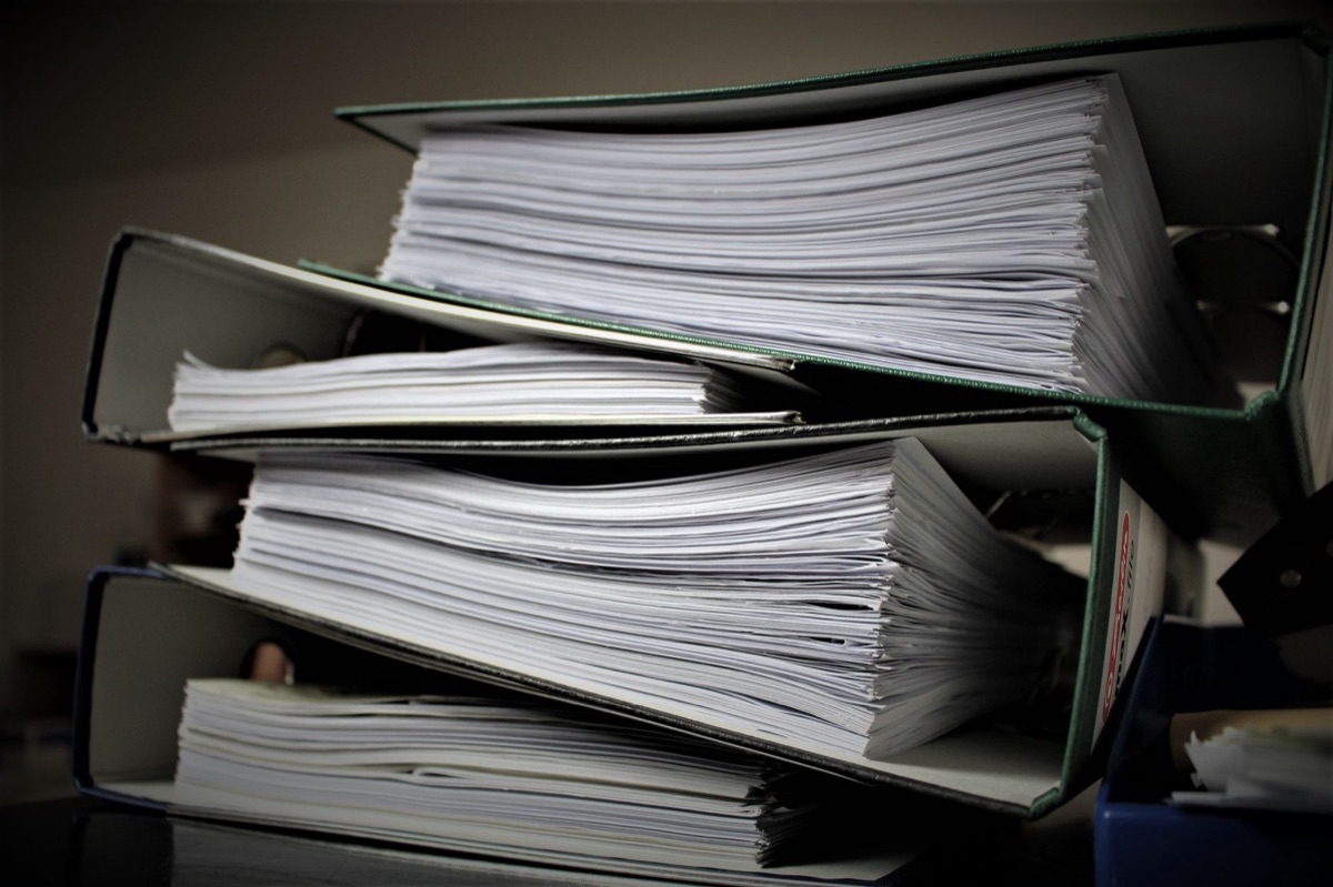 Un documento d'immigrazione canadese con un'etichetta '2024 Policy Update'
