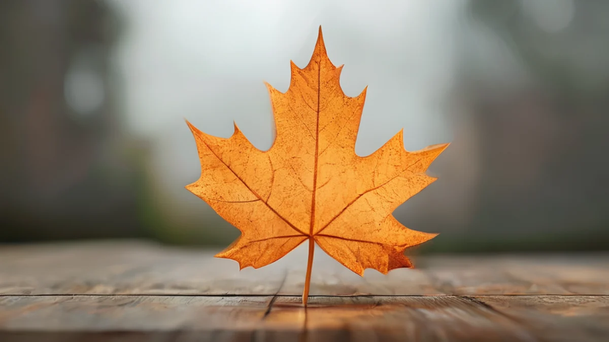 Canada's Healthcare Spending Hits $372 Billion Mark