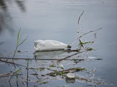 ¿Qué papel juega la tecnología en las exportaciones?