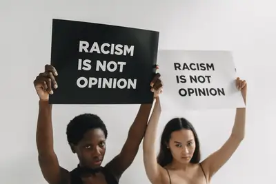 Diversité raciale Canada histoire : les défis des institutions 48