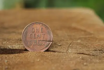 Crise économique Canada monnaie: les étapes de la réduction 3,2