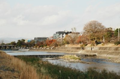 気候適応の方法：異常気象時代の都市設計と公衆衛生戦略