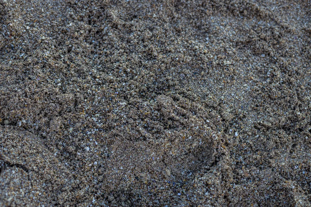 Detailed view of sandy beach surface in Miramar, Argentina, highlighting natural textures.